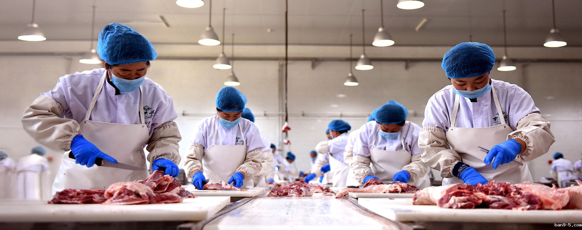 优米视讯app怎么玩清真食品分公司